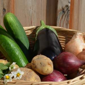 Kartoffeln / Gemüse