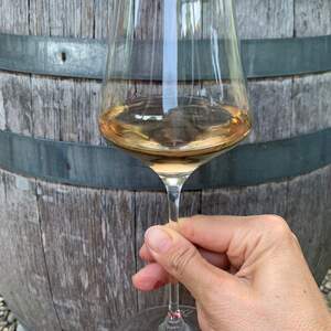 Bacaroth Blanc de Noirs "Barrique"